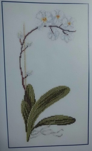 Dmc kit broder orchidee - a,
