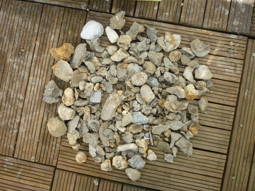 Lot fossils provenant - lot, de