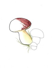 Aquarelle œuvre Originale