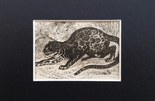 Panther Animal Print - c.1880s Mini Mounted Antique B&W Engraving (140)