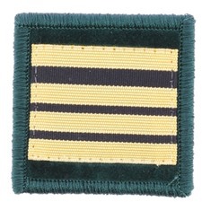 GALON DE POITRINE PHARMACIEN