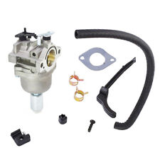 Carburateur pour Briggs &