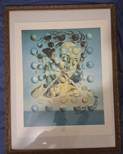 Salvador dali lithographie - dali,