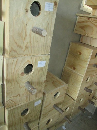 Nest box large parakeet nido - box,