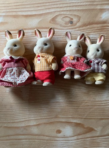 Famille lapin blanc - lapin,