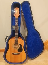 Jasmine by Takamine S35 Guitar w/case