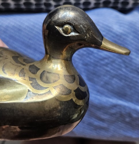 Canard laiton - canard, en