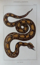 LACEPEDE, Histoire Naturelle 