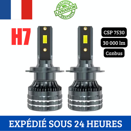 Ampoules led canbus blanc - h7,