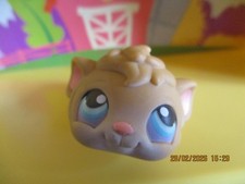 Petshop Cochon d'Inde #45 /