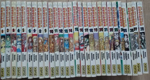 Lot tomes manga saint seiya - 28,