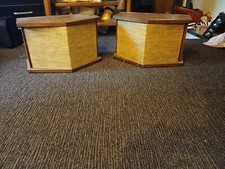 Haut-parleur vintage Bose 901