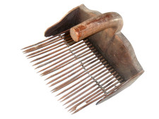 BEAU PEIGNE A MYRTILLES BOIS