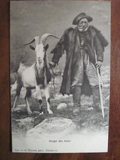 CPA Ak Berger of the Alps Goat Mountain Goat 