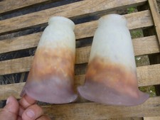 2 TULIPE DE LUSTRE APPLIQUE