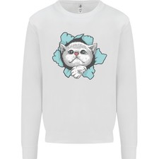 Chat Trou Enfants Pull