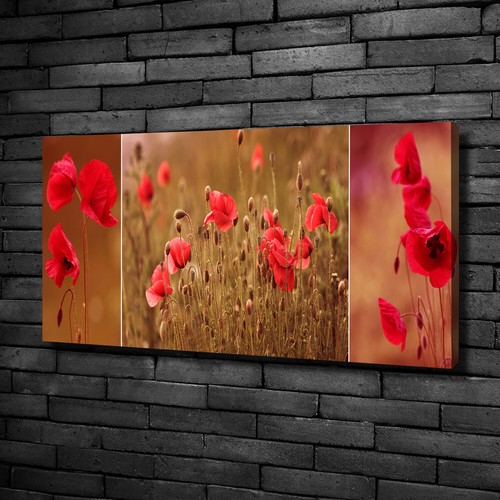 Tulup tableaux sur toile - tulup,