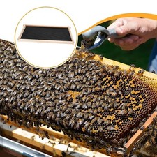 Cadre de ruche Fournitures