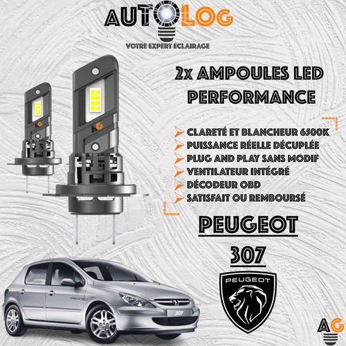 Kit ampoule led peugeot 307 - ampoule,
