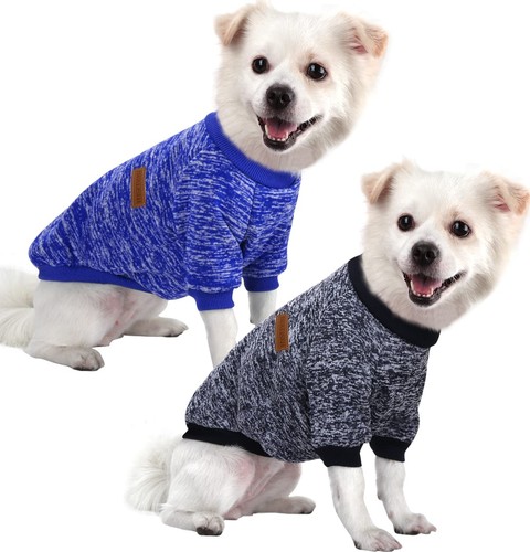 Pull chien petite - chien,