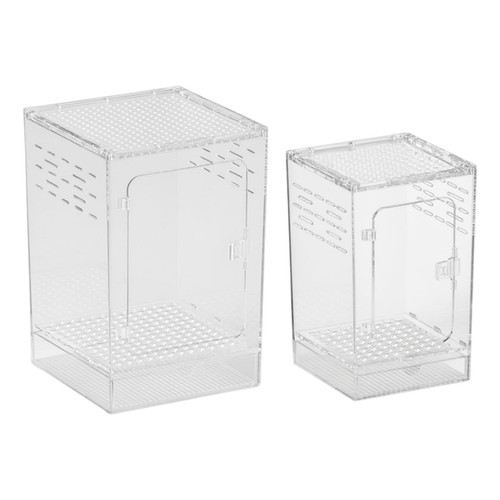 Terrarium transparent - , en
