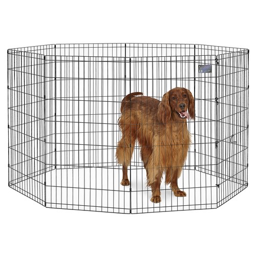 550 cage exercice et - d'exercice, parc