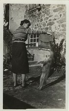 OLD PHOTO - VINTAGE SNAPSHOT - DOG MAKES BEAUTIFUL JUMP SPEED MOVEMENT