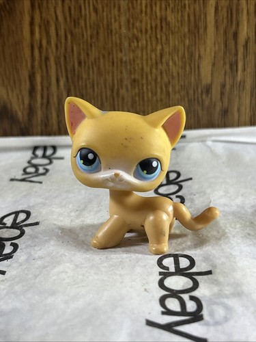 Hasbro littlest pet shop - pet,
