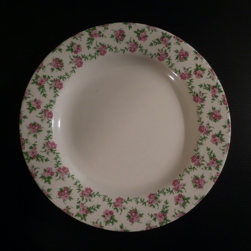 Assiettes plates luminarc - 2,