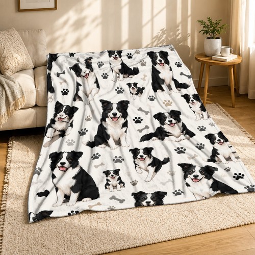 Border collie coral - collie,