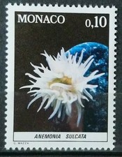 Monaco Timbre N°1254 Anemoma
