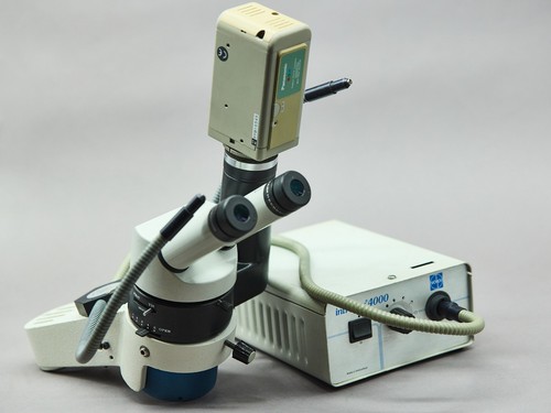 Wild heerbrugg microscope - heerbrugg,