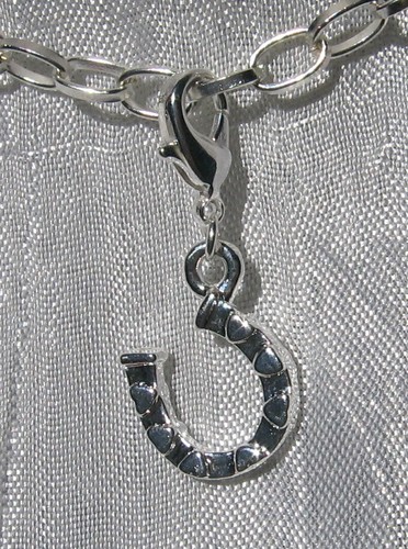 Charm fer cheval - 1, À