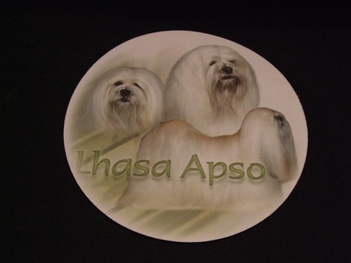 Tapis souris lhassa - -, apso