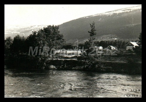Photo ww2 nachl - photo, ww2,