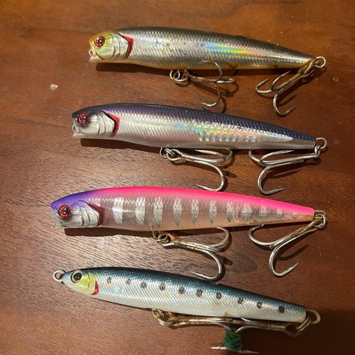 Leurre pêche rayé daiwa - de,