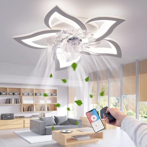 Ventilateur plafond - ventilateur, de