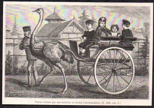 1873 voiture attelage - 1873,