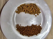 1 kg de pellets carpe expander