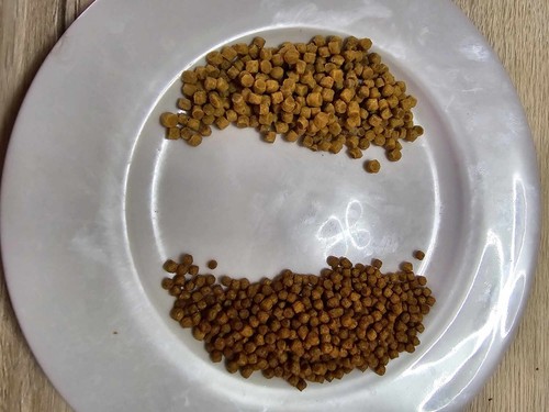 Pellets carpe expander - 1, kg