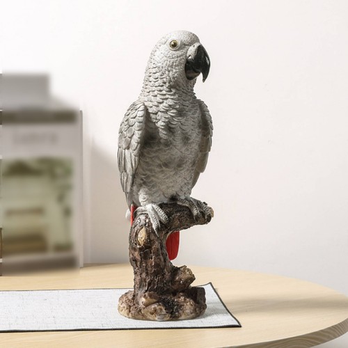 Statue perroquet gris gabon - du,