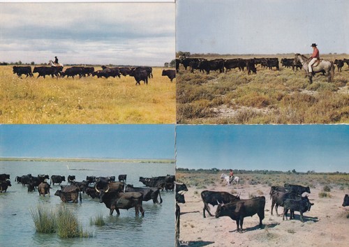 Lot cartes postales - de,