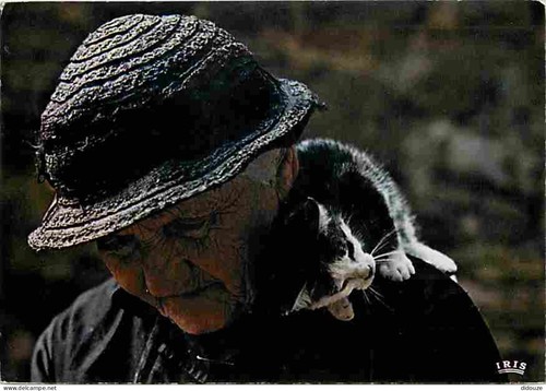 Carte postale animaux - carte,