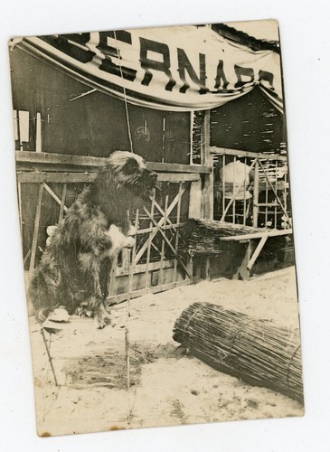 Photo snapshot grand - photo, un