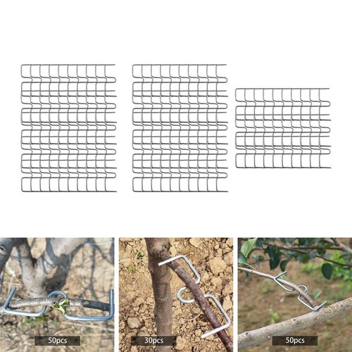 Extracteur branches - extracteur, de
