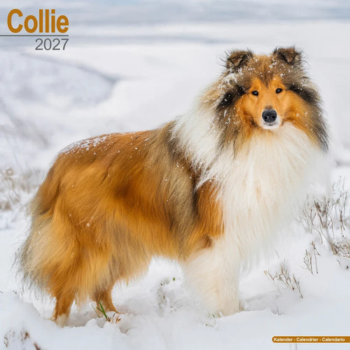 Calendrier 2027 colley - 2027,