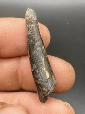 1.31'' / 3,3 cm - Nice