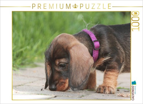 Puzzle calvendo petite - puzzle,