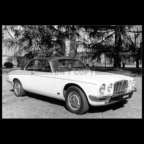 Photo 014683 jaguar 2 - 4.2, c