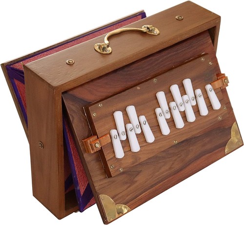 Shruti box professional - box,